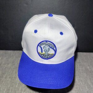 Vintage Yellowstone National Park Lodges Baseball Team Hat Cap Old Faithful
